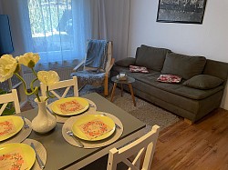 Wohnzimmer mit Küchenzeile